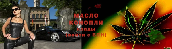 индика Приозерск