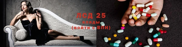 индика Приозерск