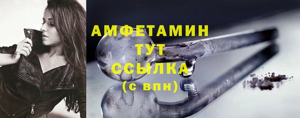 индика Приозерск