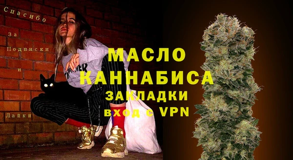 индика Приозерск