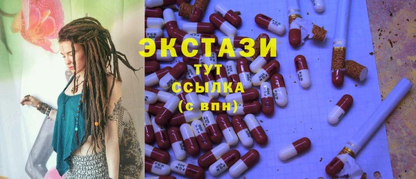индика Приозерск