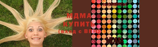 индика Приозерск