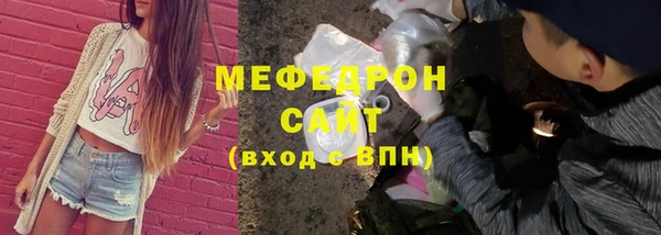 индика Приозерск